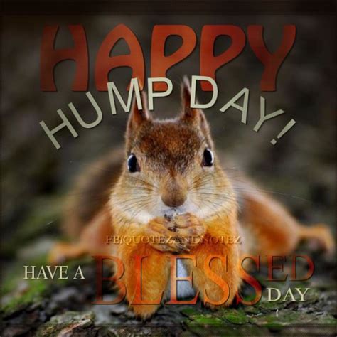 Happy Hump Day Have A Blessed Day Pictures Photos And