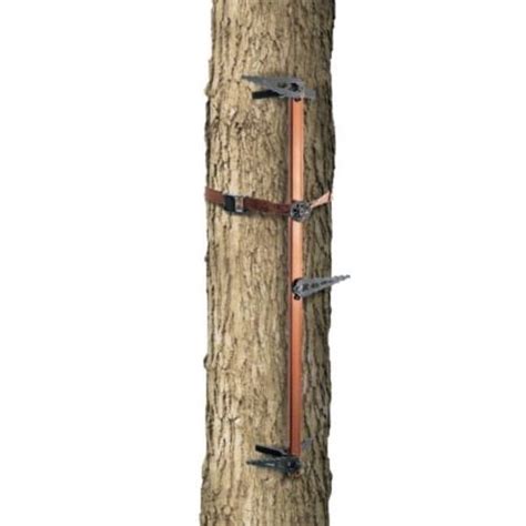 Best Climbing Sticks For Getting Into Tree Stands ⋆ Advanced Hunter