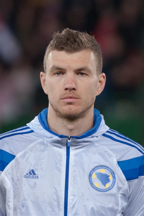 Search only for edin dzeko Edin Džeko - Wikipedia