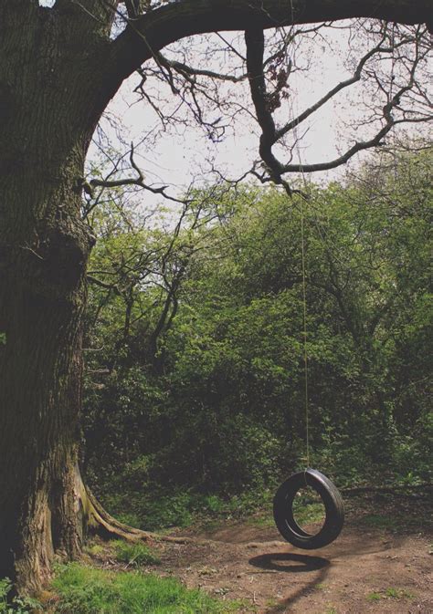 Tyre Swing Tire Swing Outdoor Photography