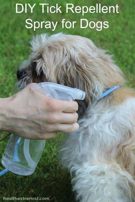 Natural Diy Tick Repellent Spray For Dogs Just 3 Ingredients Tick