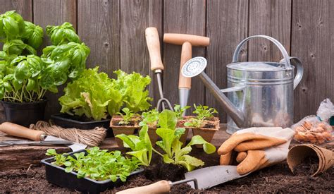 7 Steps To Get Your Garden Ready For Spring Redtea News