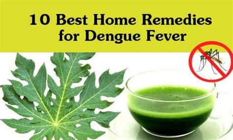 10 best home remedies for dengue fever at home