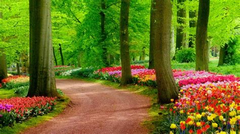 Sand Road In Beautiful Garden With Green Trees And Colorful Flowers Hd