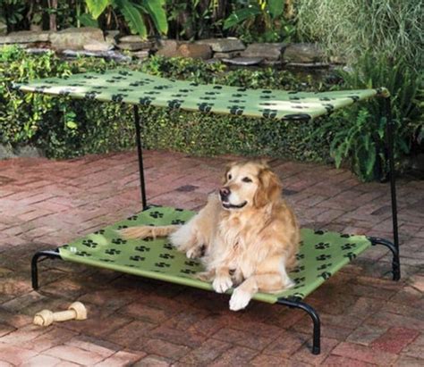 20 Cool Outdoor Dog Beds That Are Also Comfortable
