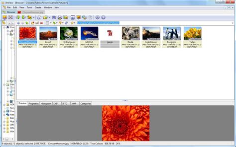 Tools and options:there are all kinds of options and features to take advantage of when you're using this app. Xnview Full : XnView - Download : Best photo viewer, image ...
