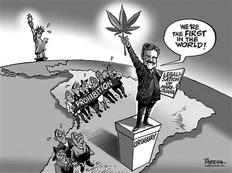 Have We Lost The Drug War The State Times