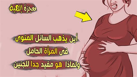 أين يذهب السائل المنوى فى المرأة الحامل ولماذا هو مفيد جدا للجنين