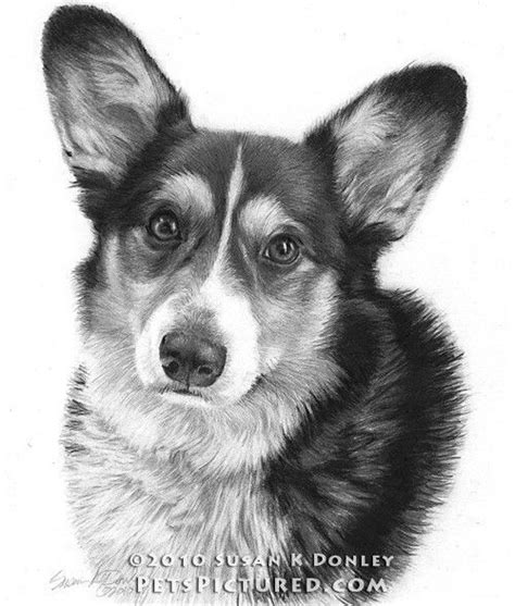 About this piece animal art keep your furry and feathery friends close, whether they are a galloping stallion or a dog taking a selfie. Pin by April Dikty ( Ordoyne) on Dogs | Corgi art, Corgi ...