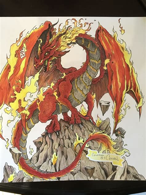 The article features both realistic and cartoon forms of dragons like flying dragons, dragons with knights and fire the hungarian horntail dragon coloring page from harry potter category. Pin on Adult Coloring Books