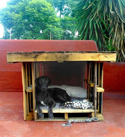 Diseños Casas Para Perros Faciles De Hacer
