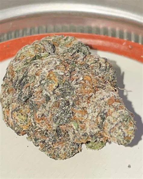 Strain Review Gorilla Butter F2 By Blockhead Buds The Highest Critic