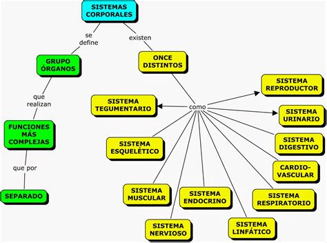 Los Sistemas Del Cuerpo Humano Mapa Conceptual De Los Sistemas