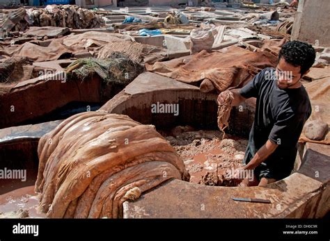 Tanneries Tannery Leather And Skin Processing Outdoor Tanning Stock