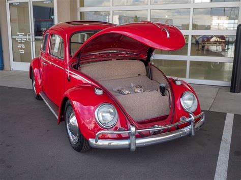 1964 Volkswagen Beetle Photos