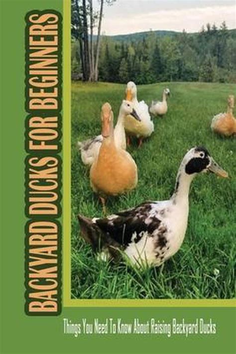 Backyard Ducks For Beginners Things You Need To Know About Raising