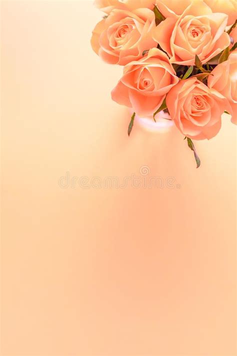 Fresh Pink Roses Bouquet Stock Photo Image Of Greeting 140327208