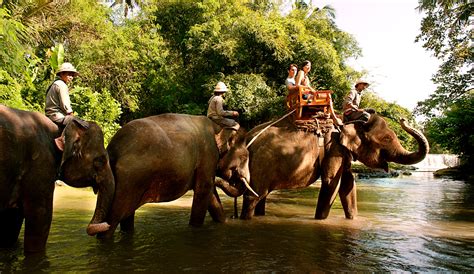Bali Zoo Park The Best Zoological Park | Tours and Activities in Bali
