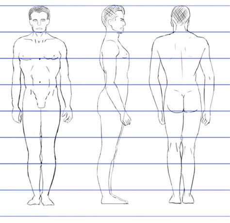 Figure Proportions Drawing Essentials Lizabeth Ruffin