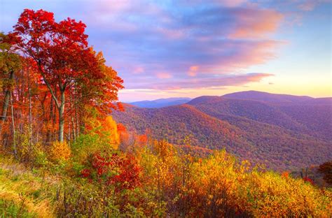 7 Of The Best Places To Fall Foliage In The South