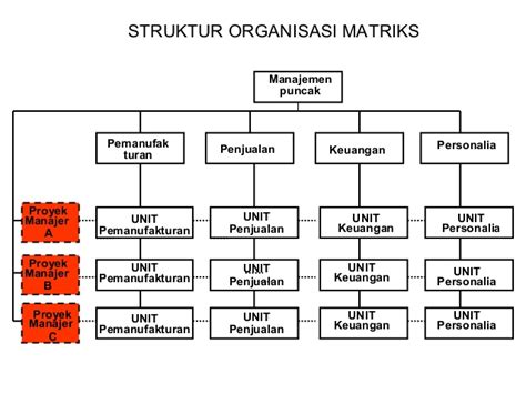 Contoh Jenis Struktur Organisasi Struktur Organiasa I