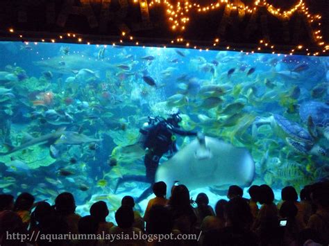 Bio ring aquarium filter media with net. My aquarium journey in Malaysia: Aquaria KLCC - part 3
