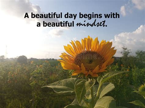 Positive Life Inspirational And Motivational Quote A Beautiful Day