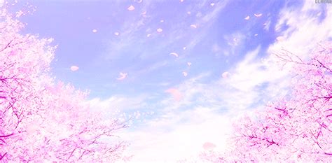 Sakura Trees Cherry Blossom Trees Anime Amino