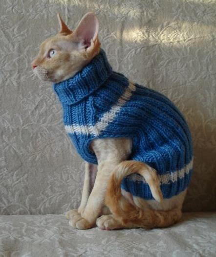 Best Crochet Cat Sweater Pattern Products Ideas Cat Sweater Pattern