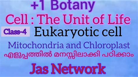 Plus One Botany Cell The Unit Of Life Eukaryotic Cell