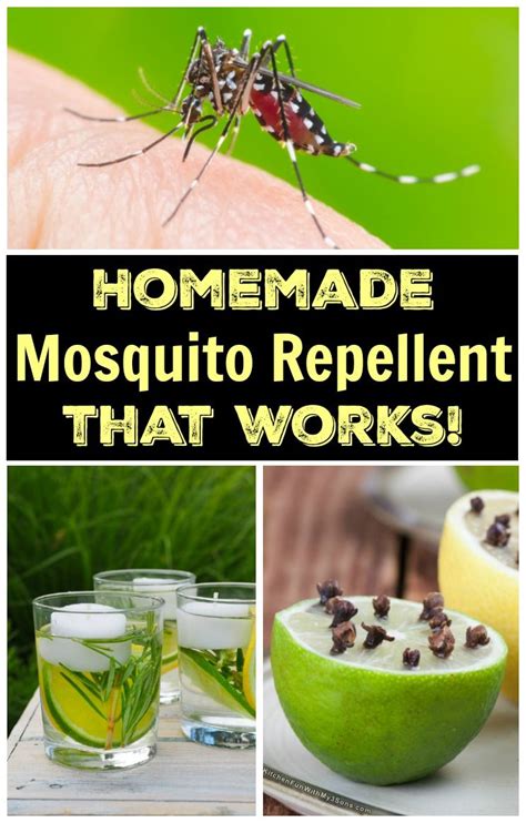 How To Make Natural Homemade Mosquito Repellent With Only 5 Ingredients