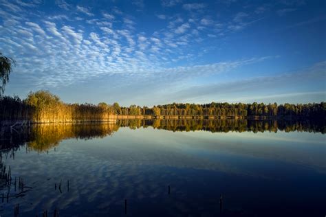 Nature Of Belarus President For Children Official Internet Portal