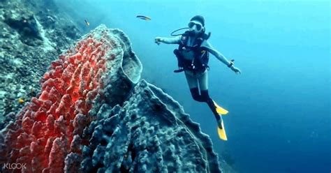 Hotels in der nähe von tun sakaran marine park, semporna: Tun Sakaran Marine Park Leisure Diving Experience in ...
