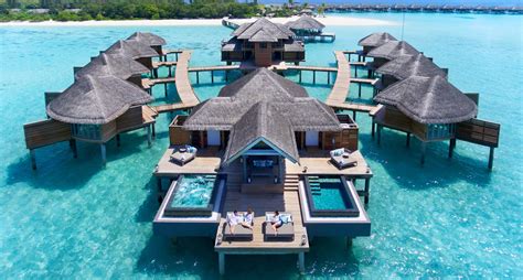 National Bird Overwater Bungalows Ocean Resort Maldives
