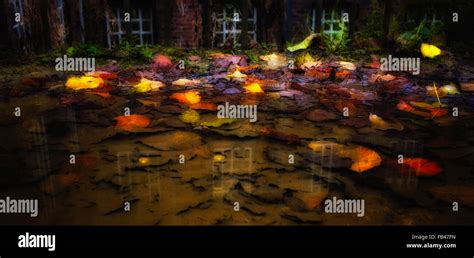 Sunken Autumn Leaves In A Clear Rain Puddle Outside An Old Mill With