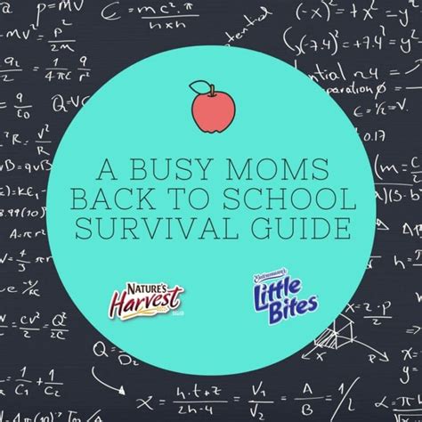 A Busy Moms Back To School Survival Guide Sparkles To Sprinkles