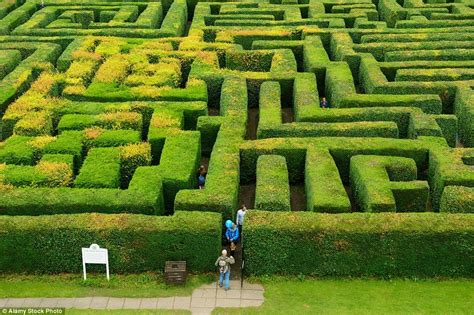 Sunflowers Ice And Harry Potter S Face The Best Mazes In The World Pictures Maze Beautiful