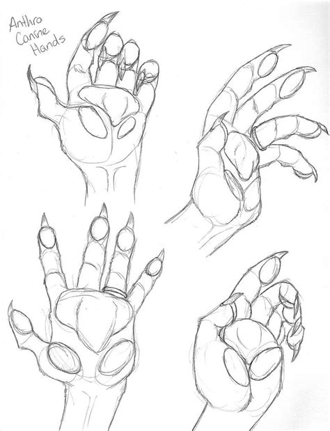 Use three curved lines to form three sides of an open, roughly. Anthro Canine Hands by DragonessDeanna on DeviantArt