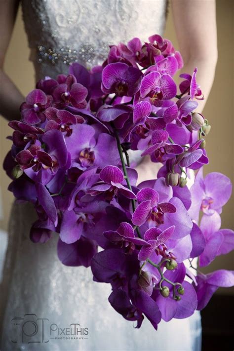 Phalaenopsis, phalaenopsis wedding, phalaneopsis orchid, randwick florist, randwick florists. Phalaenopsis orchid bouquet (With images) | Indie wedding ...