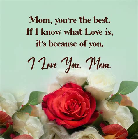 80 Messages For Mother Love You Mom Quotes Best Quotationswishes