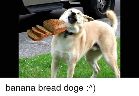 Maybe you would like to learn more about one of these? Banana Bread Doge ^ | Doge Meme on SIZZLE