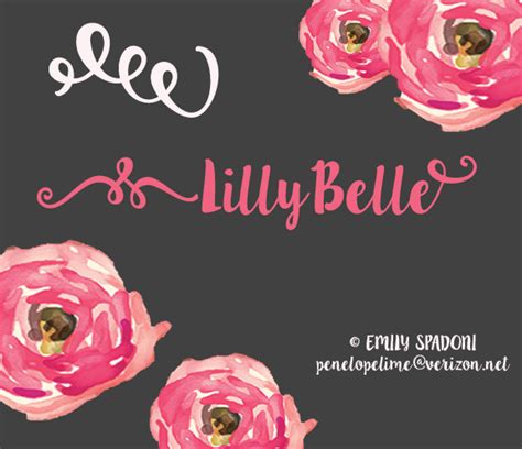 Calligraphy, font, font family, otf, roman. LillyBelle Font | dafont.com | Fuentes silhouette, Tipos ...