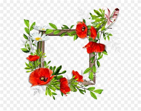 Il negozio ha fiori e piante esposti molto bene. Flower Backgrounds, Frames, Tube, Cgi, Belles Images ...