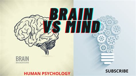 Psychology Of Mind Mind Vs Brain Youtube