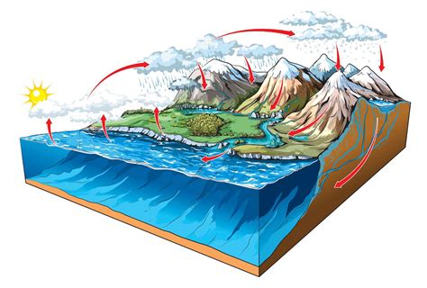 Le casting de la forme de l'eau. Pourquoi parle-t-on de cycle de l'eau dans la nature