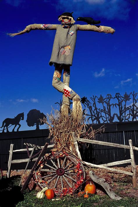 Scarecrow Photograph By Sally Weigand Fine Art America