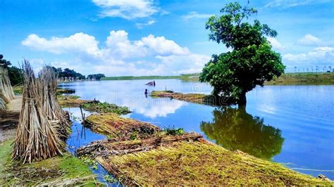 Natural Beauty Of Bangladesh Stock Image Image Of Blue