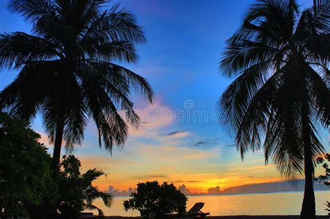 Secluded Beach At Sunrise Bodufinolhu Island Maldives Stock Image