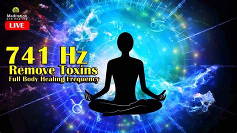 🔴 741 Hz Remove Toxins From Body L Full Body Healing Frequency L
