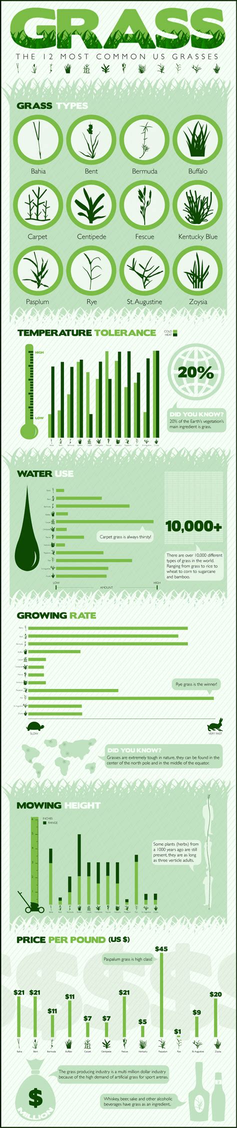 How many types of grass is there? The 12 Most Common Grasses in the United States (Infographic)